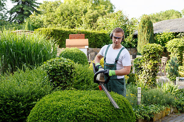 Best Organic Lawn Care Solutions  in Mulberry, IN